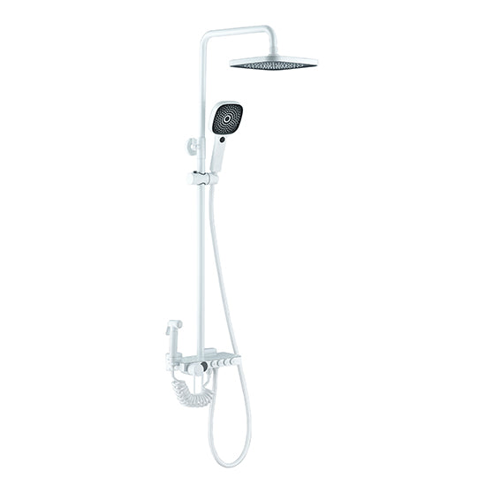 DG06045 - Block Digital Display Fourth Gear (Filter), Shower Head and Adjustable Hand Shower Manufacturer