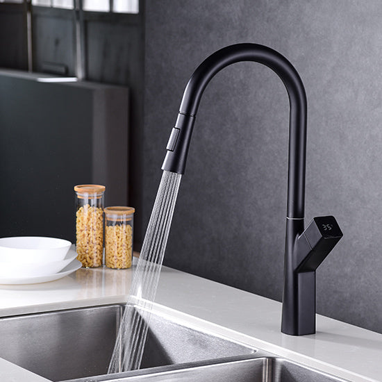 DG111 Swan series Pull Down Kitchen Faucet with Sprayer