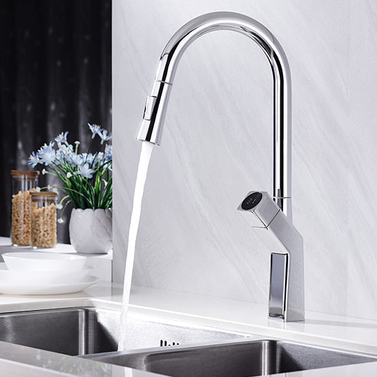 DG111 Swan series Pull Down Kitchen Faucet with Sprayer