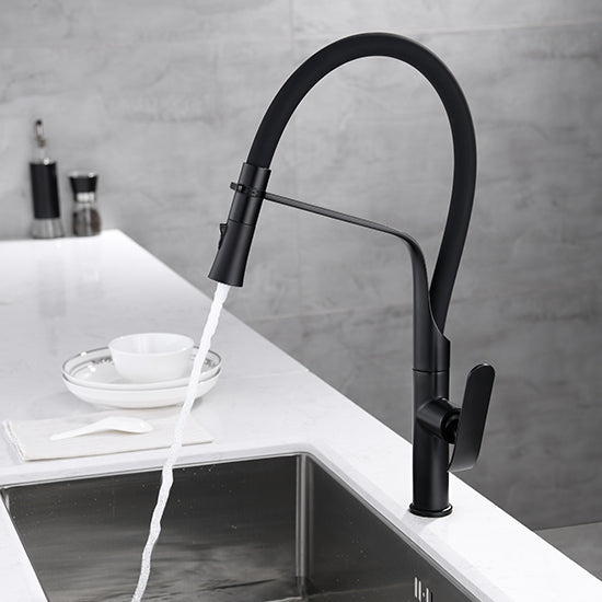 JY-8806 Dual Function Single Lever Handle Pull-Down Sprayer Brass Kitchen Tap